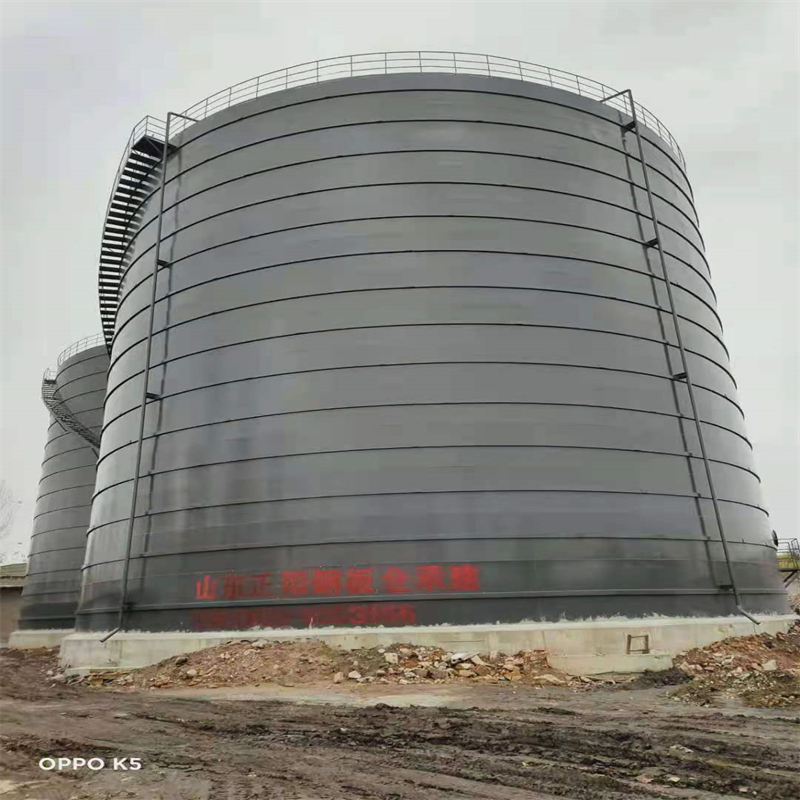 安远3万吨大型钢板库